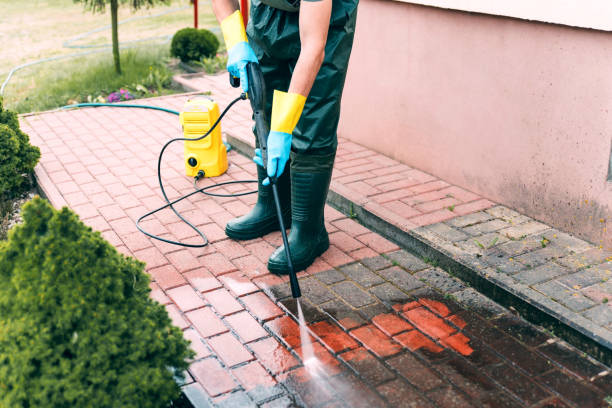 Best Roof Washing  in South Temple, PA